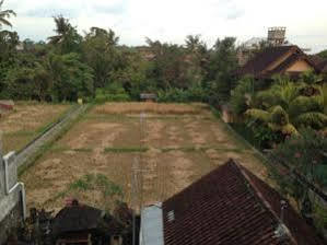 Pondok Mertha House Ubud Εξωτερικό φωτογραφία